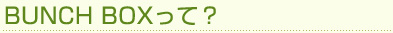 BUNCH BOX���āH